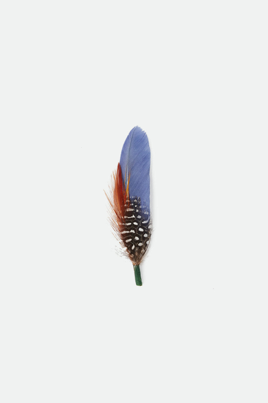 Acessorios Brixton Frank Universal Hat Feather Azuis | YJNAZ-6941