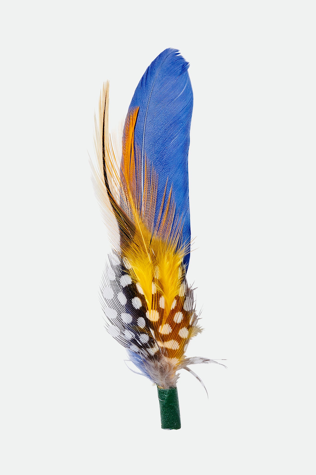 Acessorios Brixton Keith Hat Feather Multicoloridas | CSPUI-2643